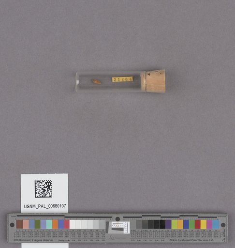 NSF ADBC EPICC TCN