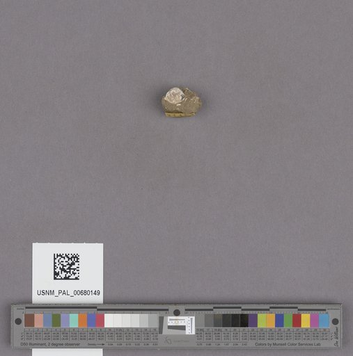 NSF ADBC EPICC TCN