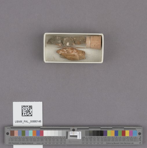 NSF ADBC EPICC TCN
