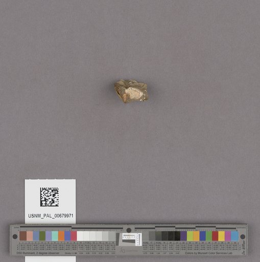NSF ADBC EPICC TCN