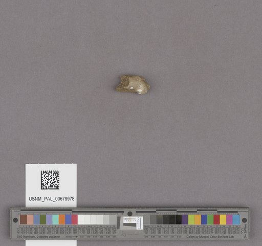 NSF ADBC EPICC TCN