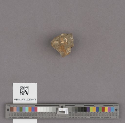 NSF ADBC EPICC TCN