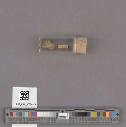 NSF ADBC EPICC TCN