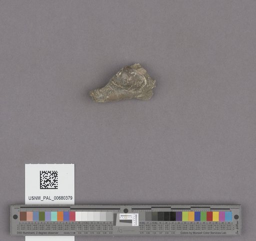 NSF ADBC EPICC TCN