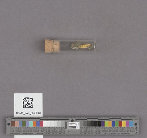 NSF ADBC EPICC TCN
