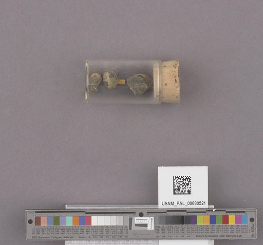 NSF ADBC EPICC TCN