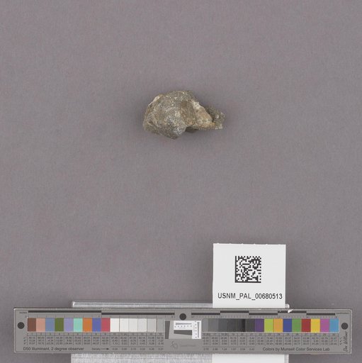NSF ADBC EPICC TCN