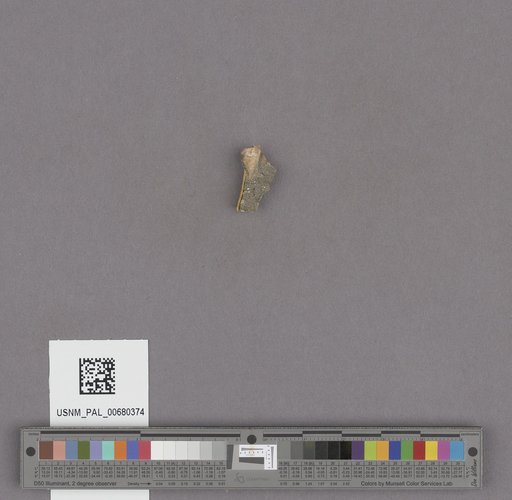 NSF ADBC EPICC TCN