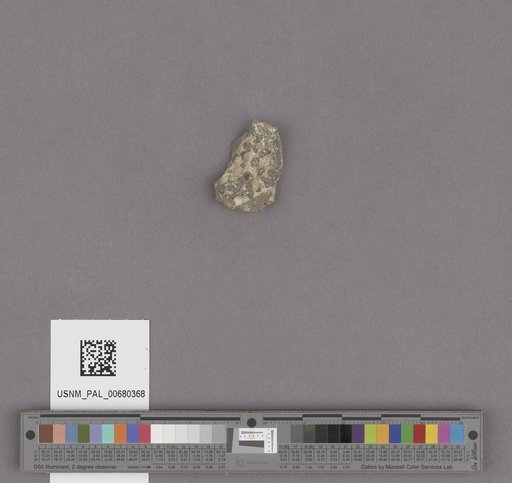 NSF ADBC EPICC TCN