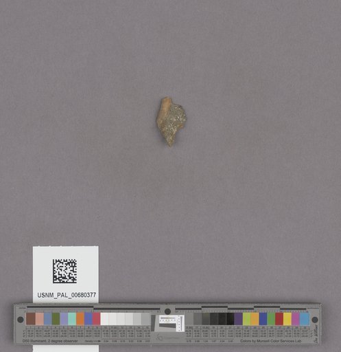NSF ADBC EPICC TCN