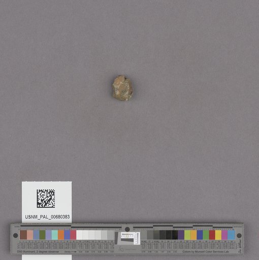 NSF ADBC EPICC TCN