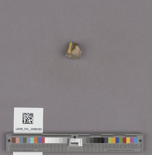 NSF ADBC EPICC TCN