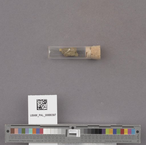 NSF ADBC EPICC TCN