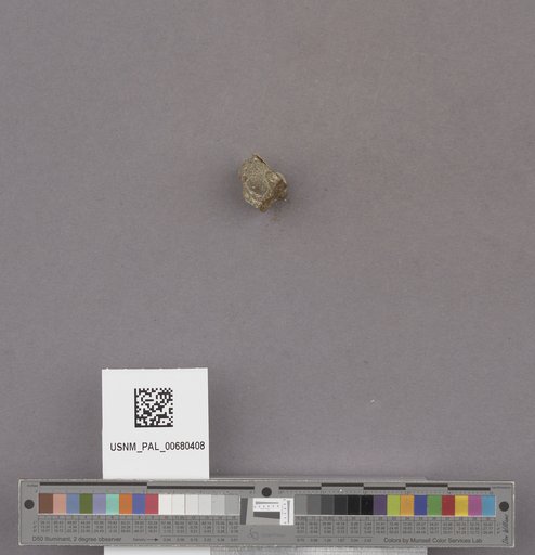 NSF ADBC EPICC TCN