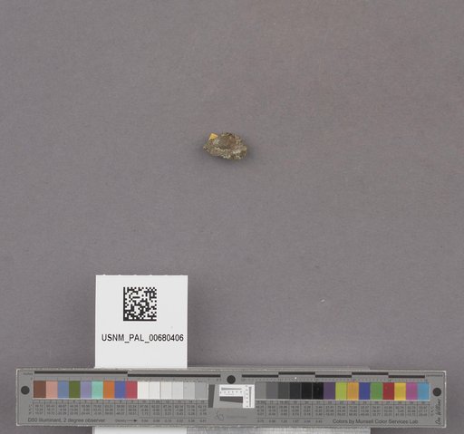 NSF ADBC EPICC TCN