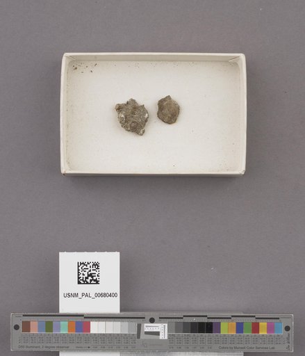 NSF ADBC EPICC TCN
