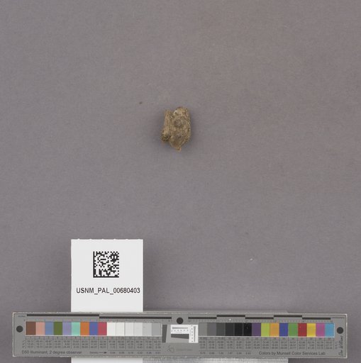 NSF ADBC EPICC TCN