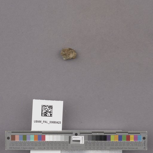 NSF ADBC EPICC TCN