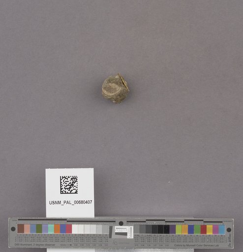 NSF ADBC EPICC TCN