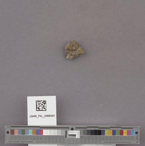 NSF ADBC EPICC TCN