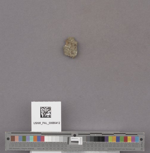 NSF ADBC EPICC TCN