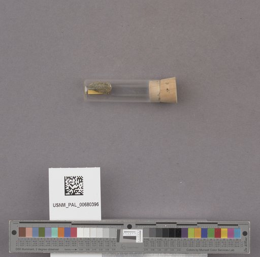 NSF ADBC EPICC TCN