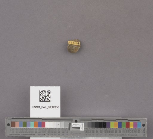 NSF ADBC EPICC TCN