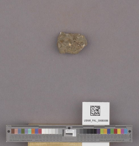NSF ADBC EPICC TCN