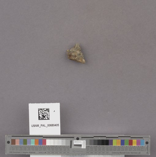 NSF ADBC EPICC TCN
