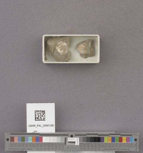 NSF ADBC EPICC TCN