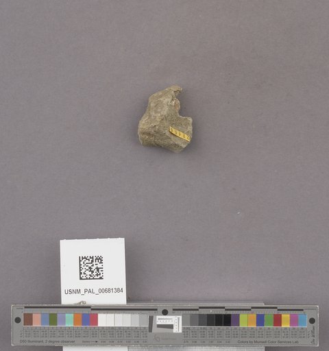 NSF ADBC EPICC TCN