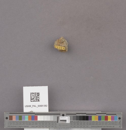 NSF ADBC EPICC TCN
