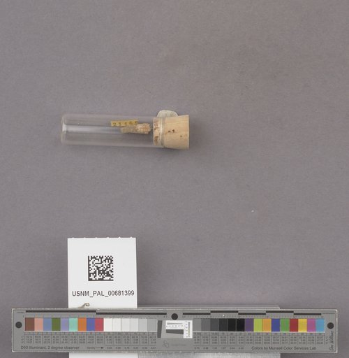 NSF ADBC EPICC TCN