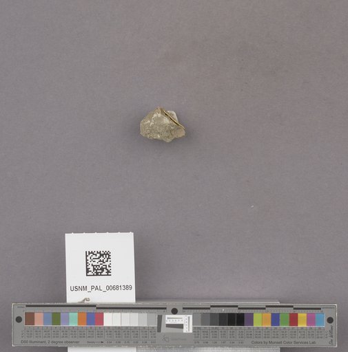 NSF ADBC EPICC TCN