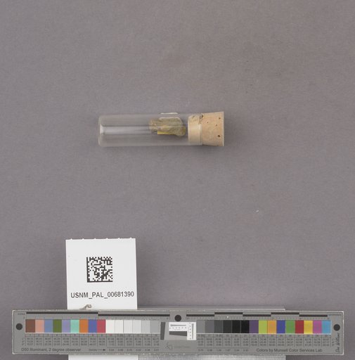 NSF ADBC EPICC TCN