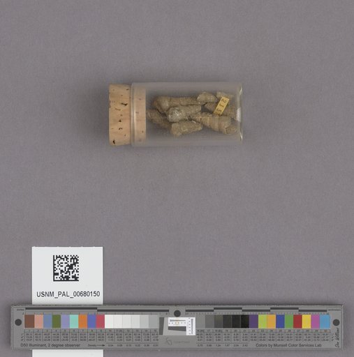 NSF ADBC EPICC TCN
