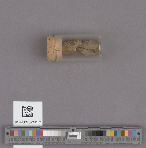 NSF ADBC EPICC TCN