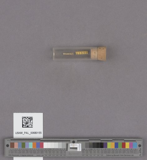 NSF ADBC EPICC TCN