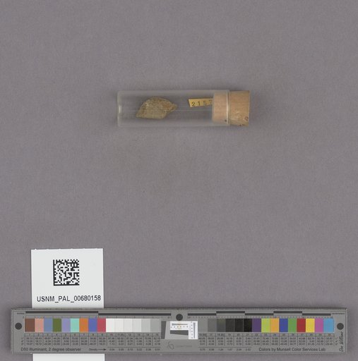 NSF ADBC EPICC TCN
