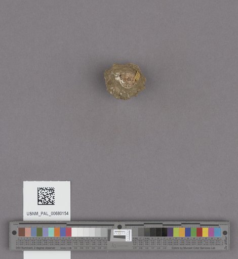 NSF ADBC EPICC TCN
