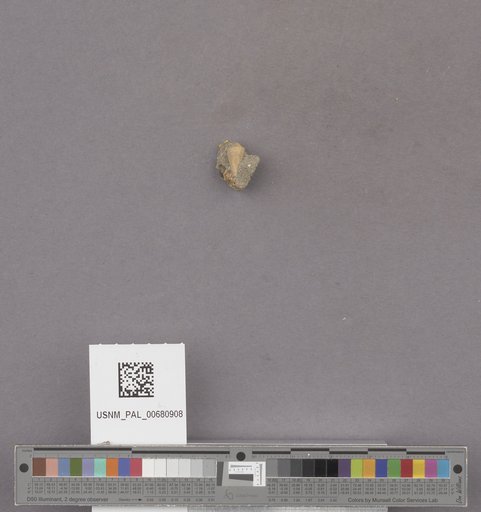 NSF ADBC EPICC TCN