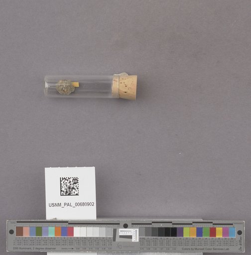 NSF ADBC EPICC TCN
