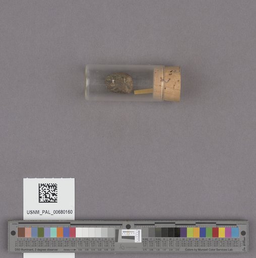 NSF ADBC EPICC TCN