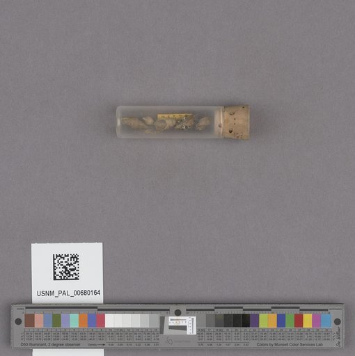 NSF ADBC EPICC TCN