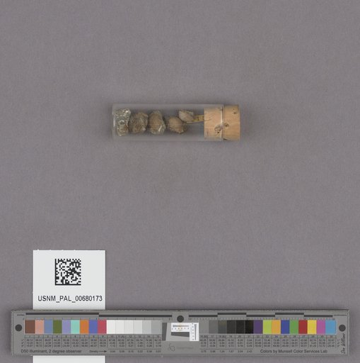 NSF ADBC EPICC TCN