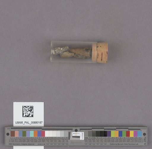 NSF ADBC EPICC TCN