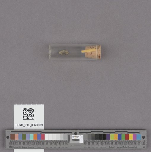 NSF ADBC EPICC TCN