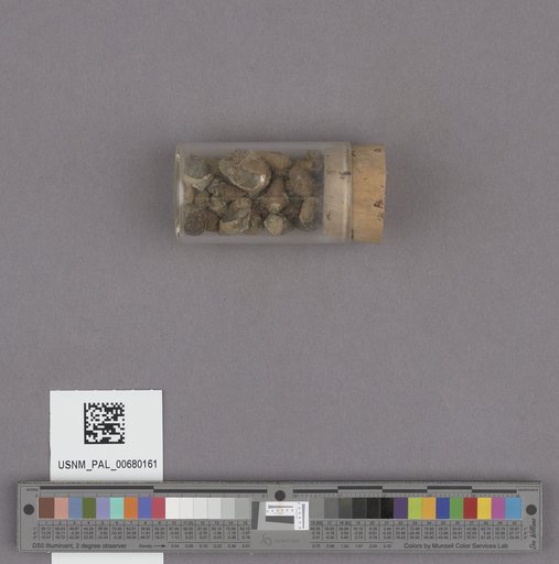 NSF ADBC EPICC TCN