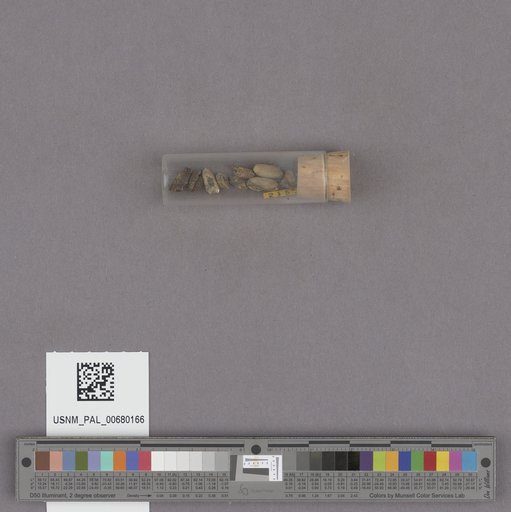 NSF ADBC EPICC TCN