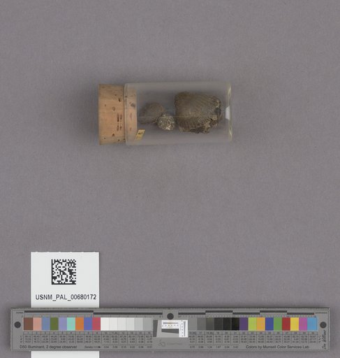 NSF ADBC EPICC TCN